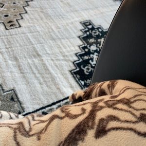 Meet your Posher, Sandra